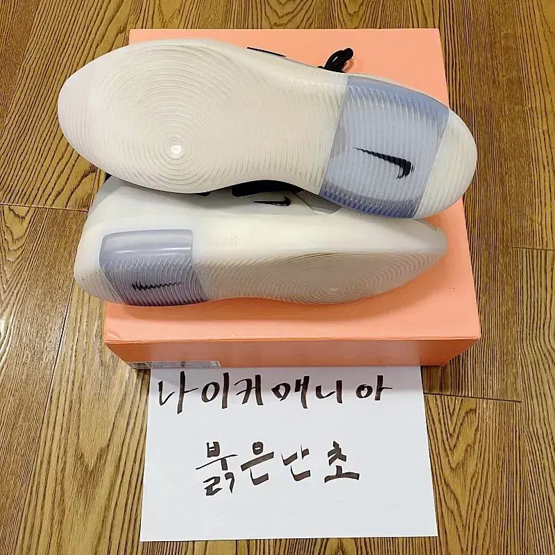 [285] 나이키 피오갓 더 퀘스천