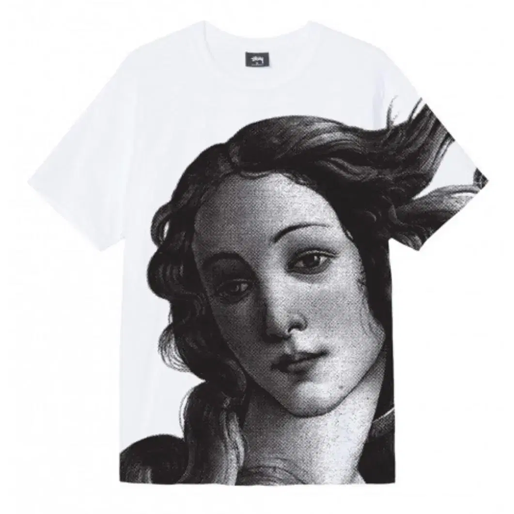 스투시 비너스 stussy venus