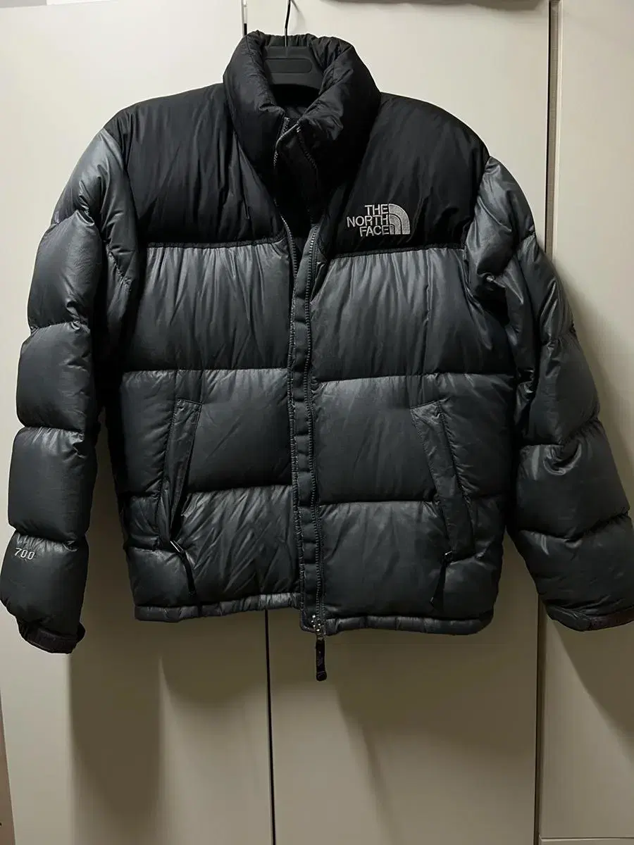 The North Face Nupsi 700 Gumshoe (size 90)