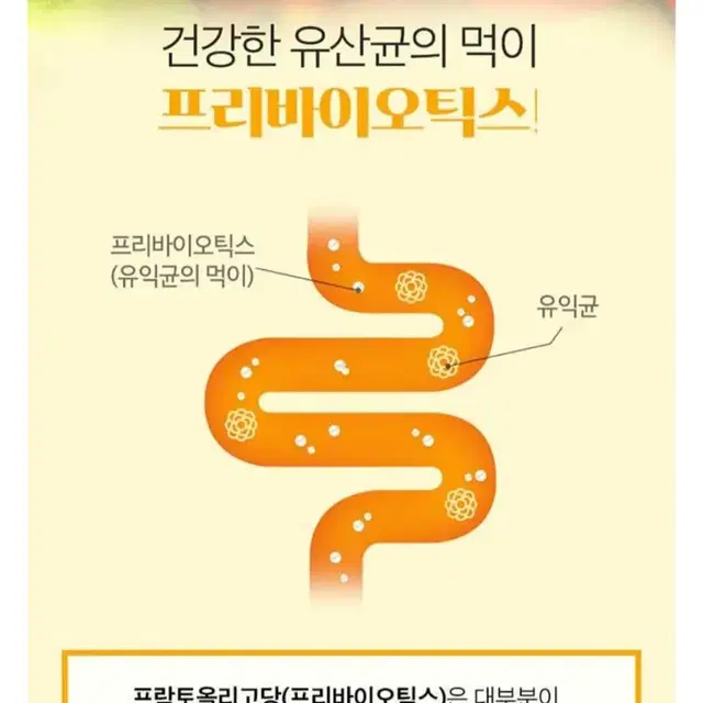 (뉴트리디데이) 비정제 사과초모식초 애플사이다비니거 유산균 활력 염증