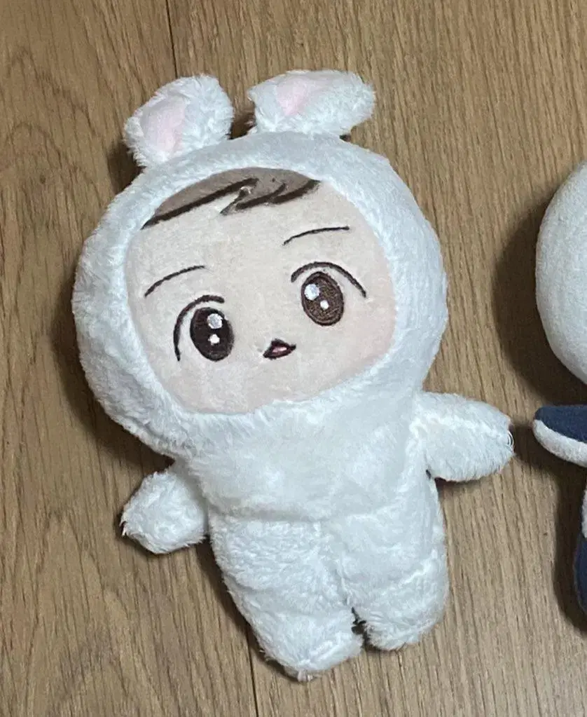 Exo baekhyun Hakkungi doll wts