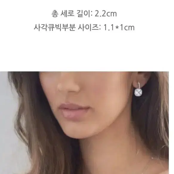 스파클링 클로젯 미들턴 3캐럿 큐빅 은귀걸이