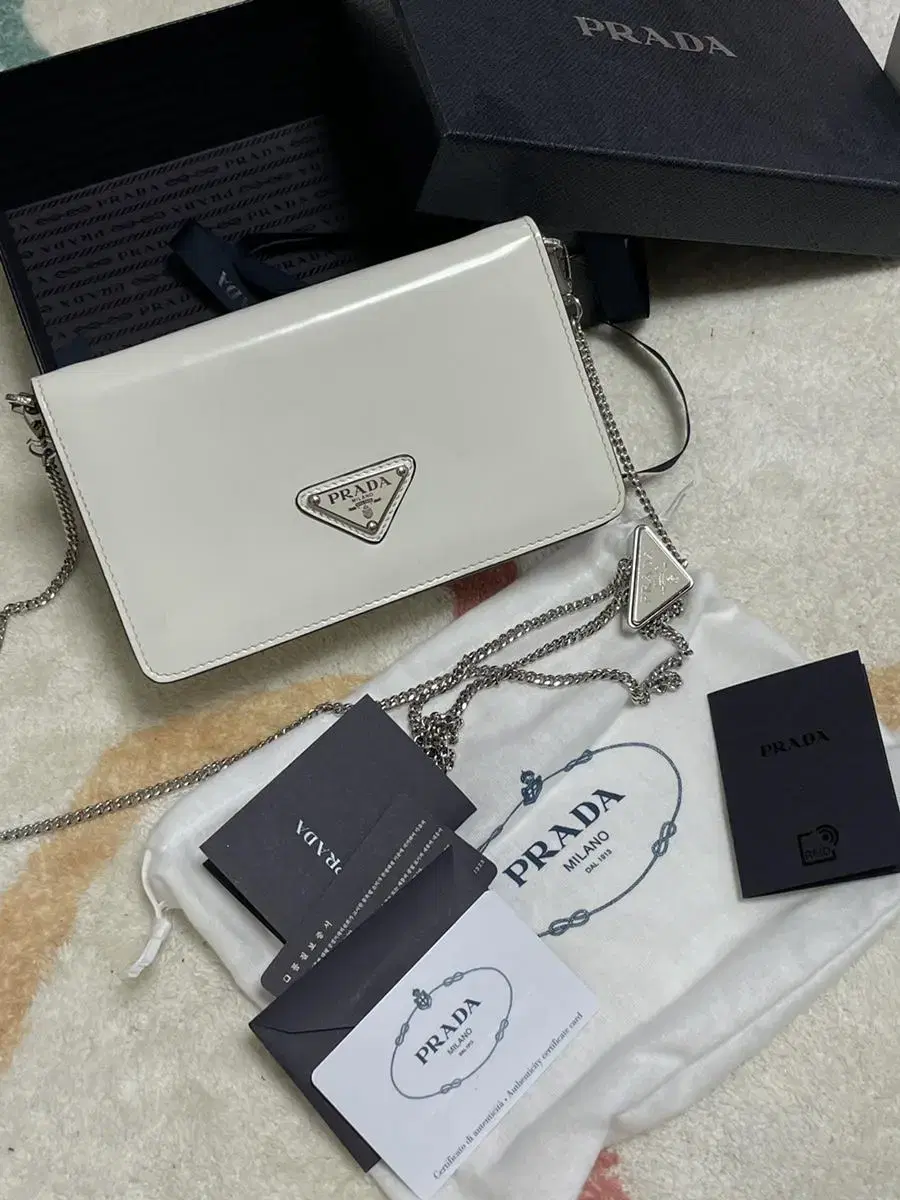 Prada Triangle Logo Mini Bag