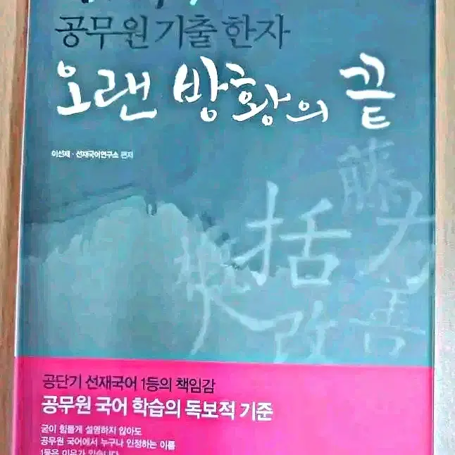 공무원 국어 오랜 방황의 끝 한자 이선재