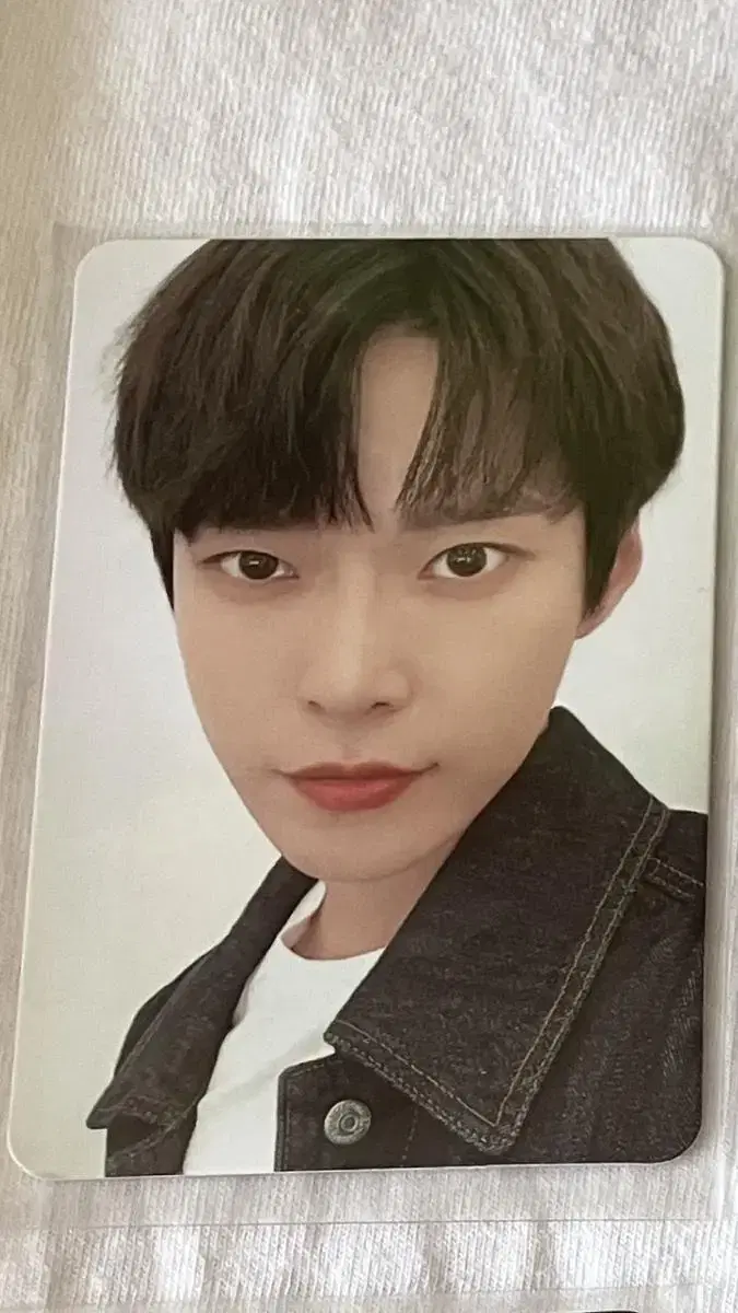 NCT 6th Anniversary doyeon photocard