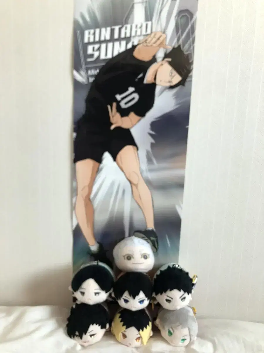 Haikyuu Mochimas, Manju, and Long Posters in Bulk