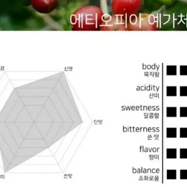 에티오피아 예가체프 로스팅원두 500g