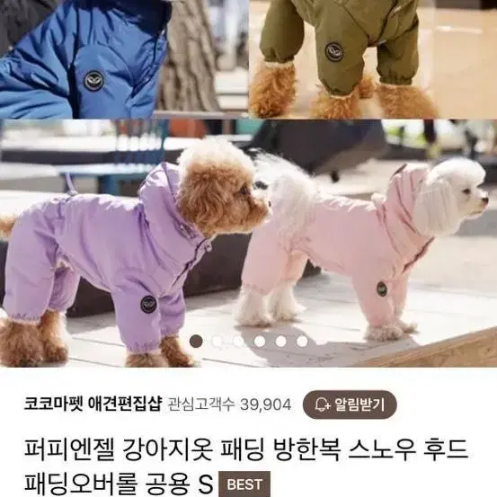 퍼피엔젤 스노우 패딩