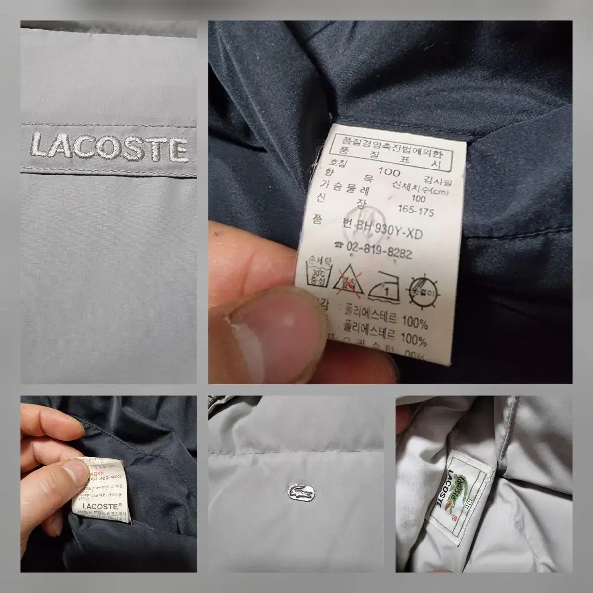 라코스테양면패딩 라코스테리버시블패딩 lacoste 라코스테숏패딩