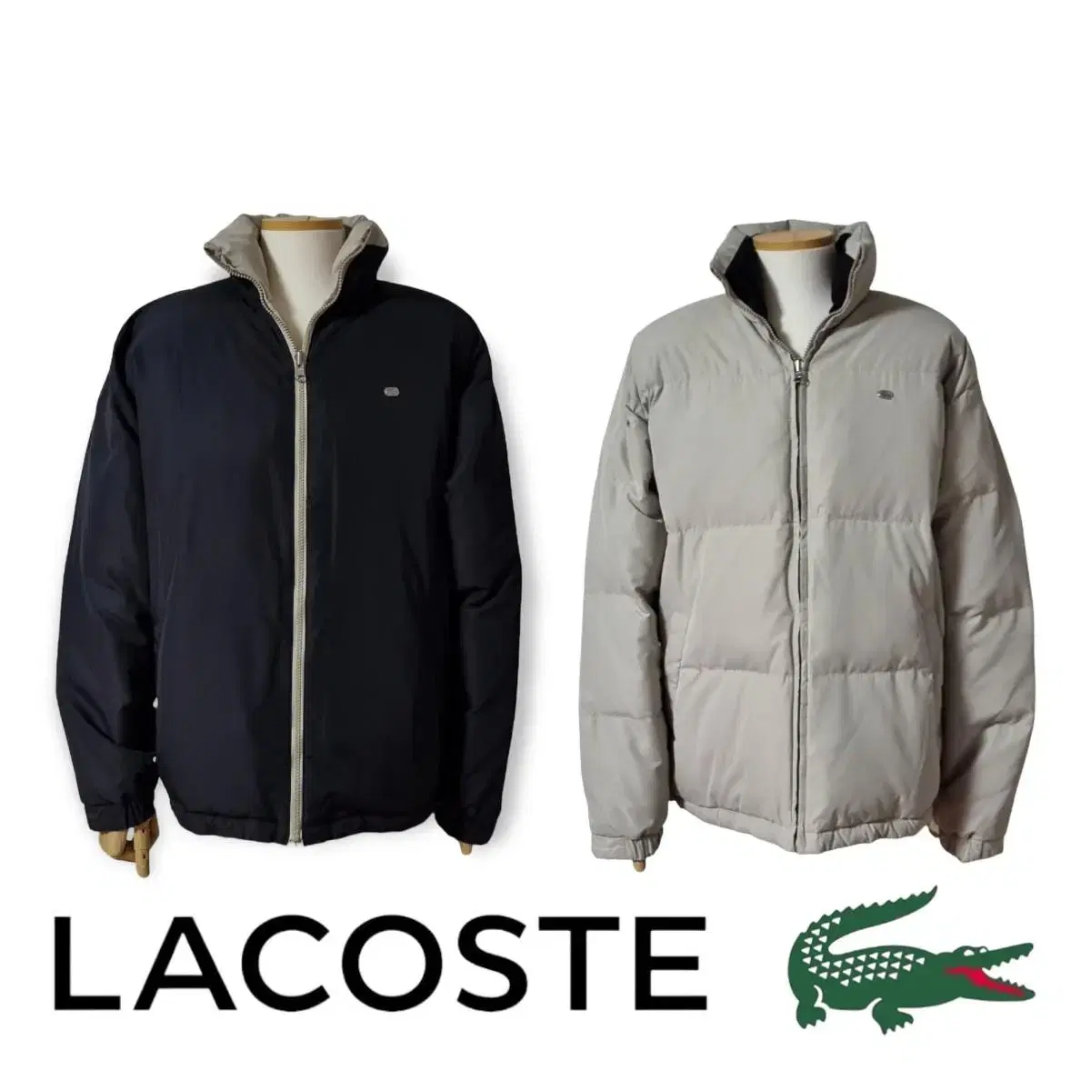 라코스테양면패딩 라코스테리버시블패딩 lacoste 라코스테숏패딩