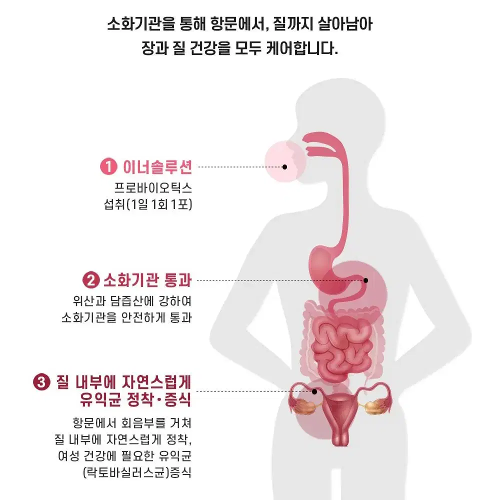 여성 장건강 질 유래 유산균 120포 4개월분