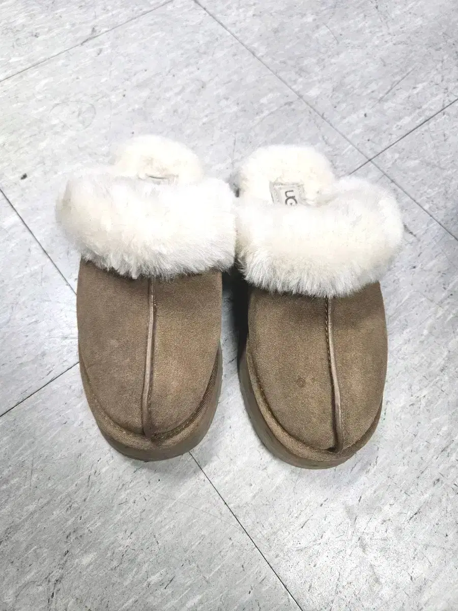 어그 디스케트 슬리퍼 체스트넛 ugg 230