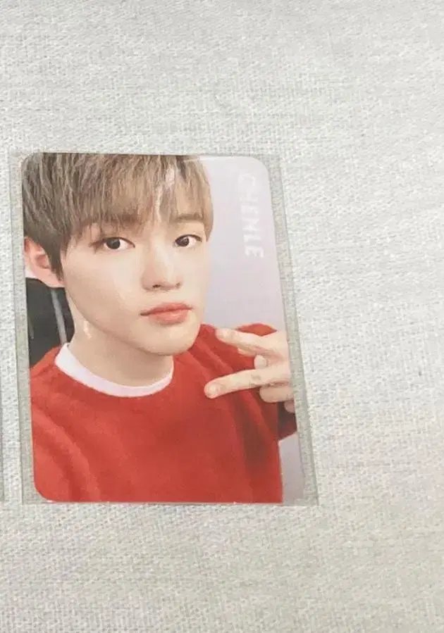 NCT Dream chenle japan album Individual Organization photocard Photo Card