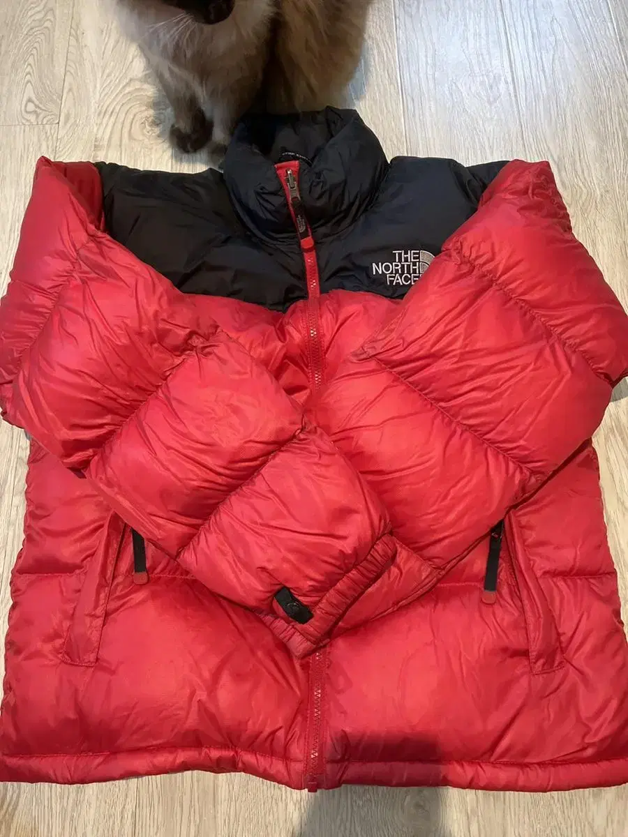 The North Face Padded Goose Down Unisex 95 m