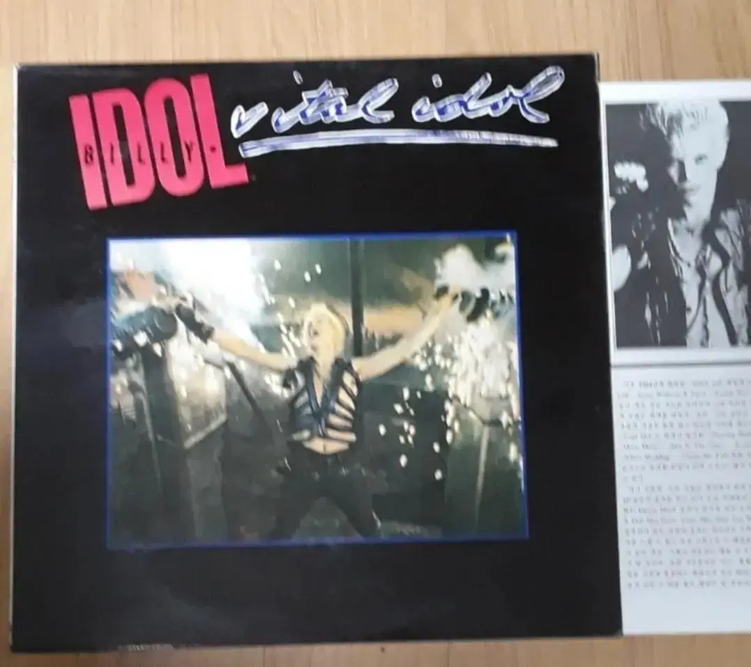 Rock 팝록 빌리아이돌 Billy Idol 엘피 바이닐 lp