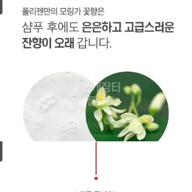 닥터포헤어   탈모방지샴푸 새제품