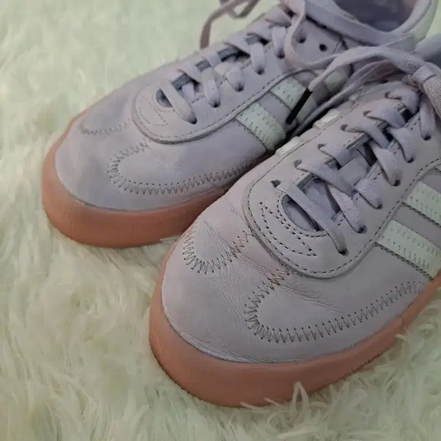 (225) Adidas 삼바로즈 베리 페리