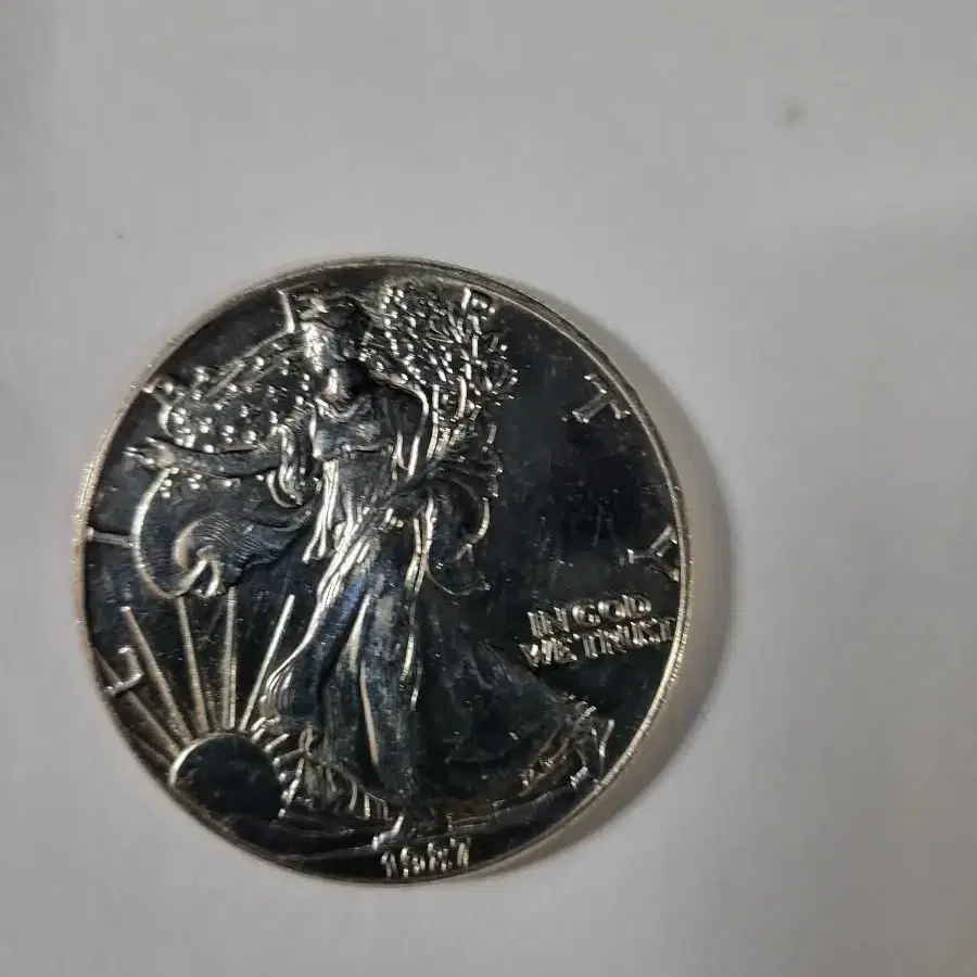 silver one dollar