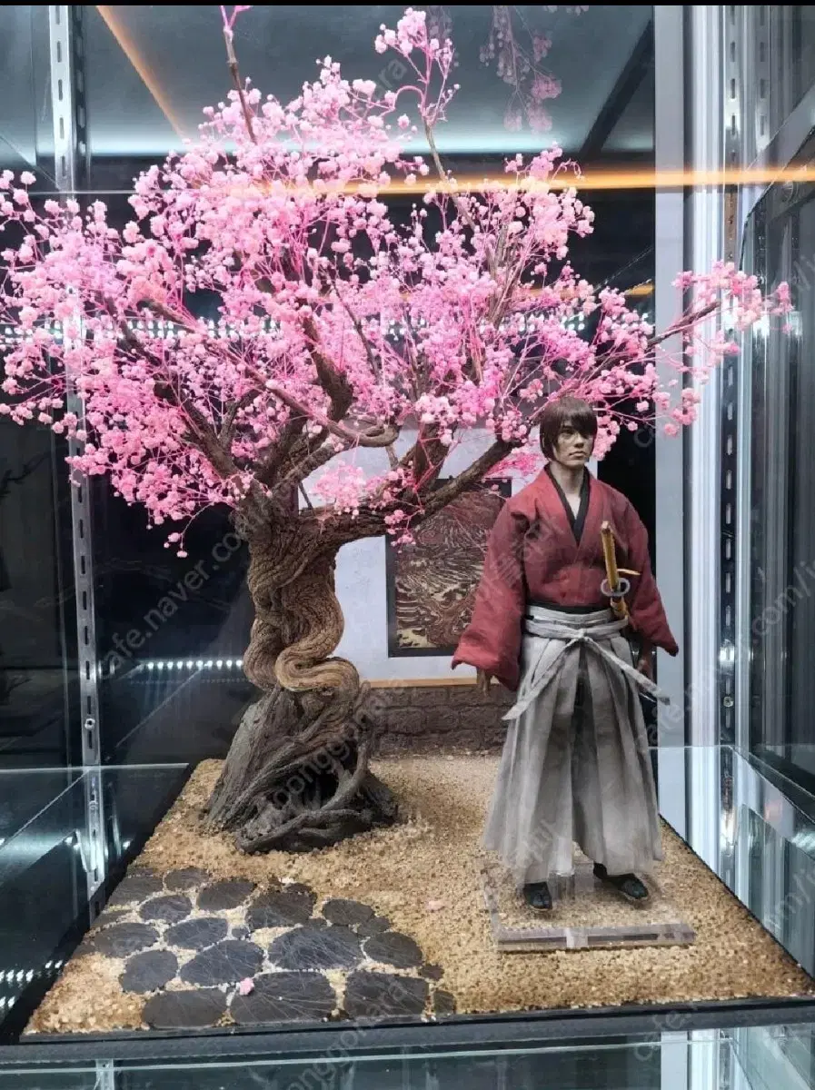 HATTOY X Diorama Para Cherry Blossom Samurai 12 inch