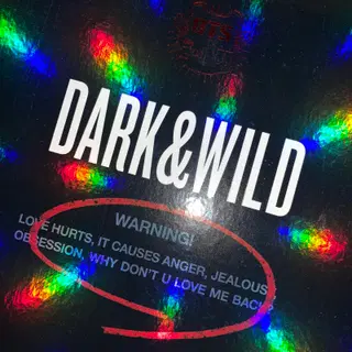 방탄소년단(BTS) 정규 1집 - DARK&WILD 앨범 | CD/DVD/LP | 번개장터