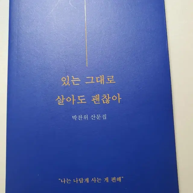 있는 그대로 살아도 괜찮아/ 박찬위 산문집