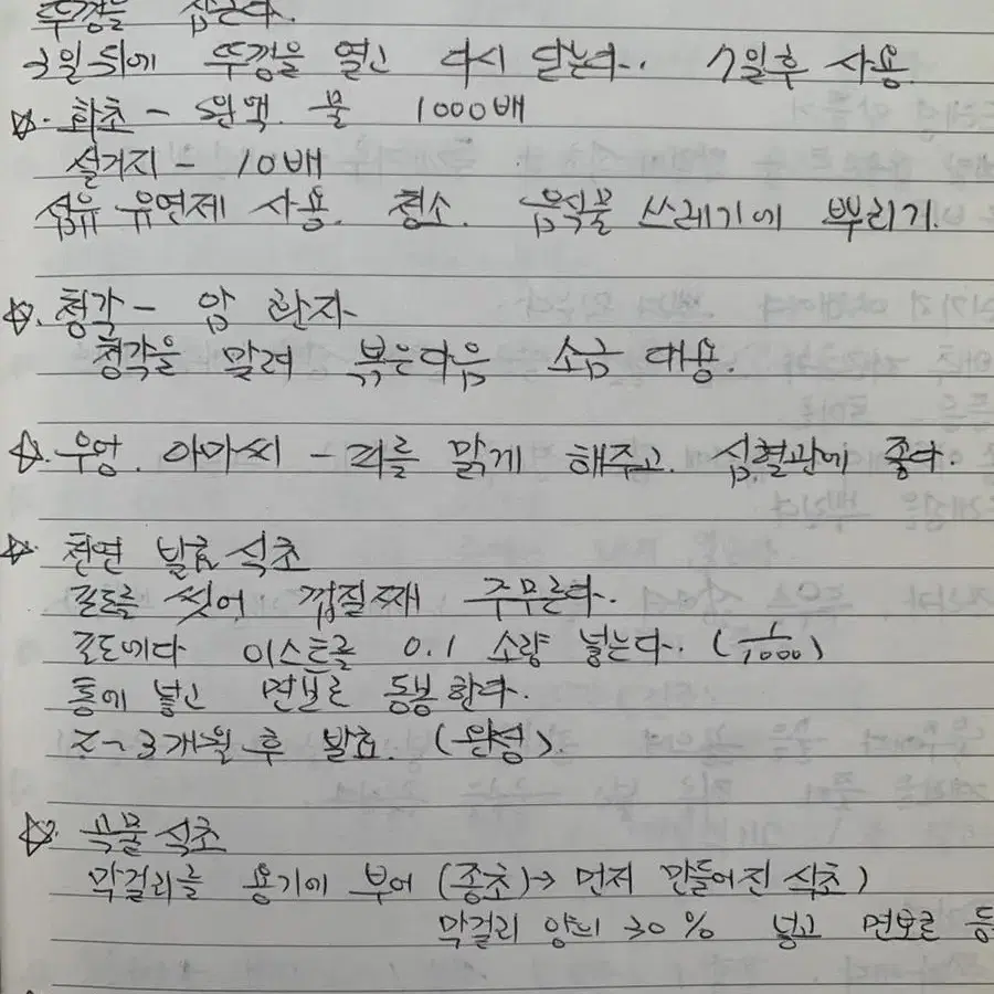 손글씨 대필/어른 글씨/ 편지 연하장 초대장 과제 탄원서 반성문 진술서