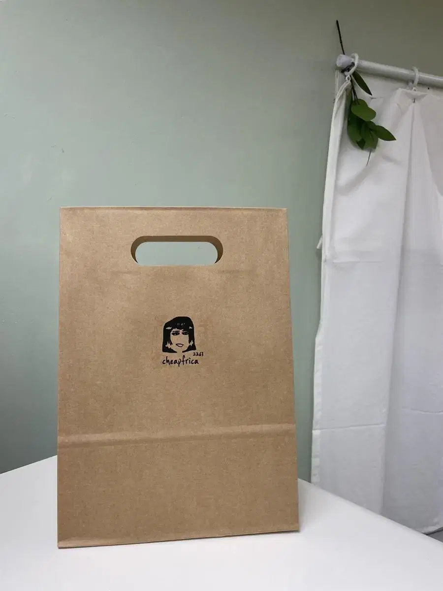 Paper bags Shopping bags Plain paper bags 10 paper bags