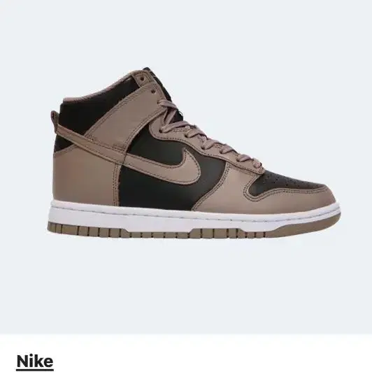 W270] NIKE Dunk high moon Fossil