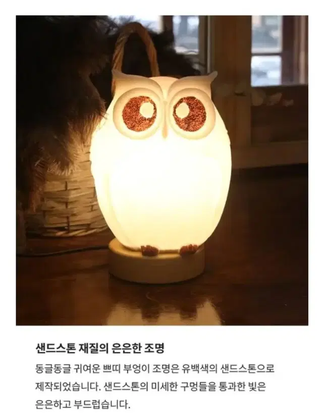 황금부엉이 LED 무드등