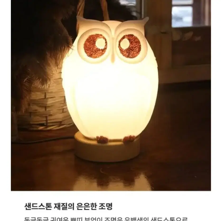 황금부엉이 LED 무드등