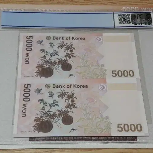 2013년 한국은행 5차 5000원 연결권 AAA PCGS 67 화폐