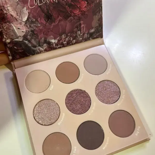 컬러팝 colourpop 아이섀도우 팔레트