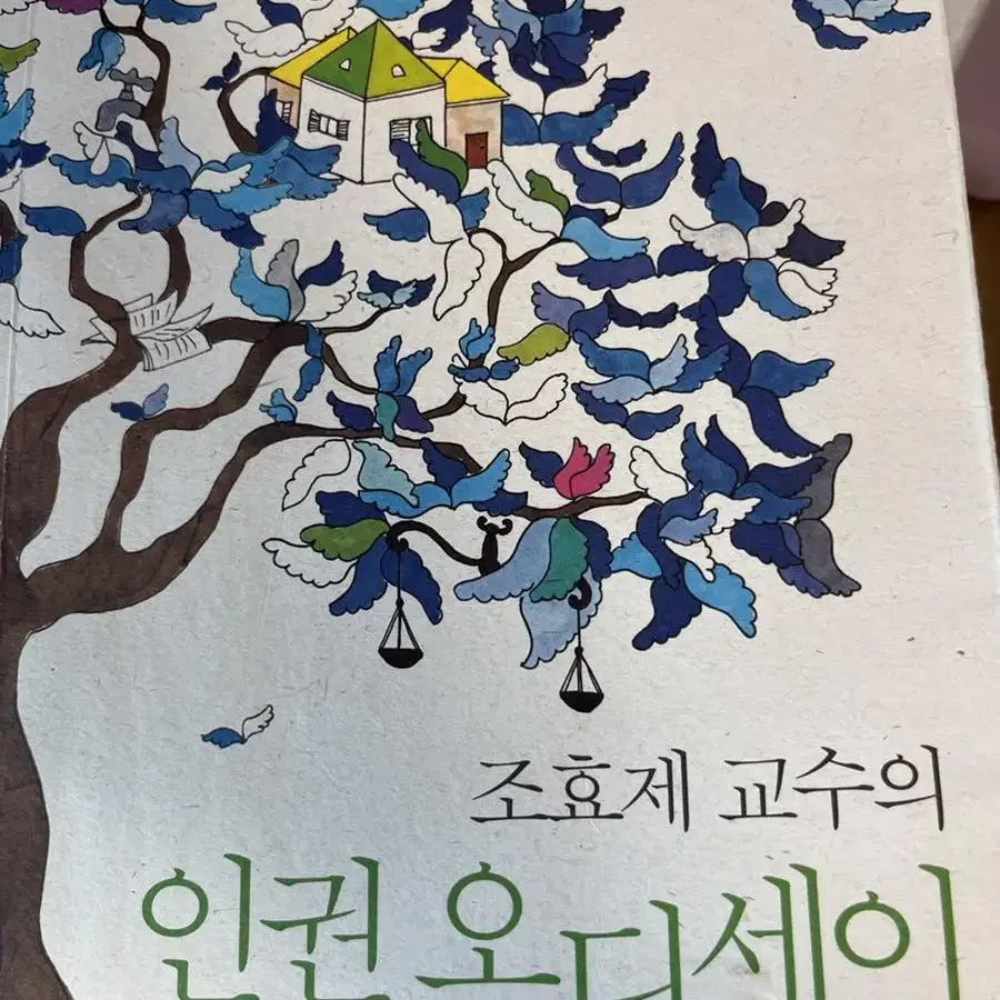 조효제 교수의 인권 오디세이