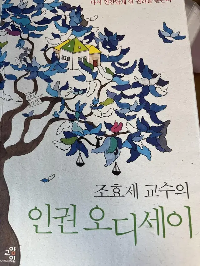 조효제 교수의 인권 오디세이