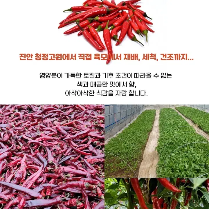 2024년 햇 고춧가루 500g (택배비 별도)