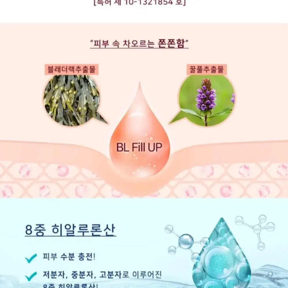 보니앤제이 플라레세타 콜라겐 앰플 3ea