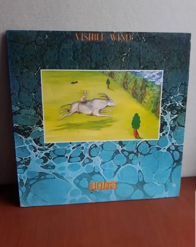 아트록 프로그레시브록 Visible Wind 엘피 바이닐 lp