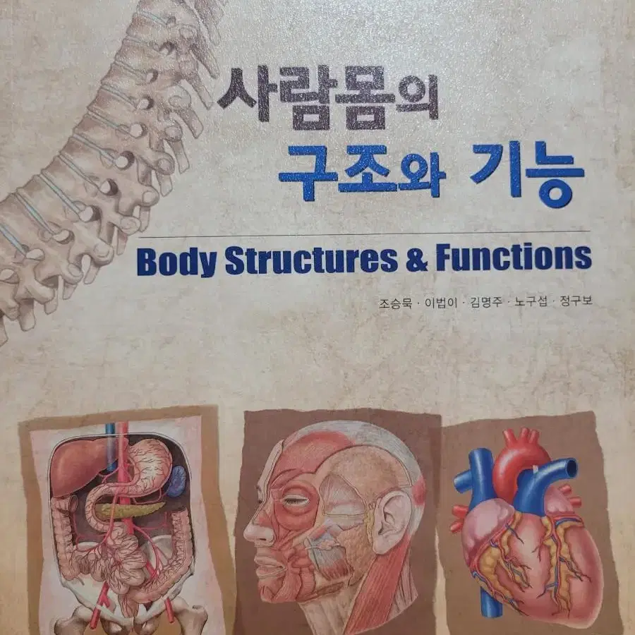 (택포)고문사 사람몸의 구조와 기능(해부생리학)