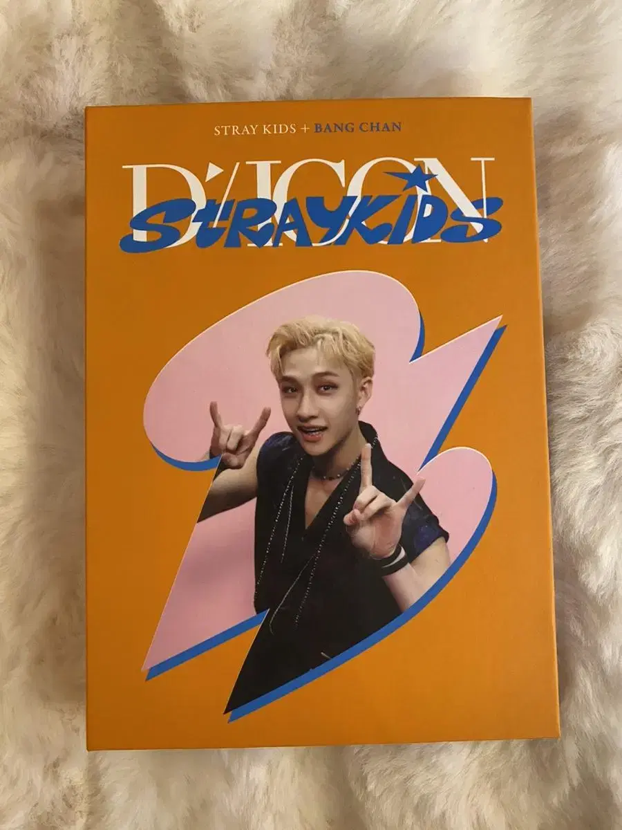 Straykids skz Depesta bang chan Photo Card Binder