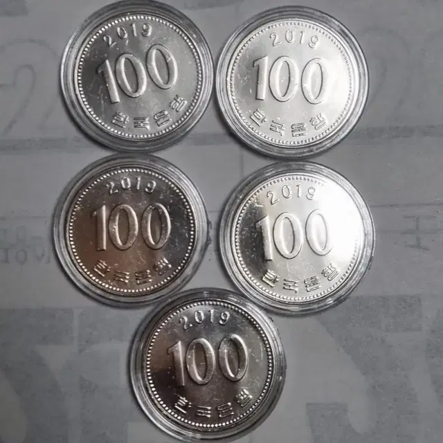 2019년100주화