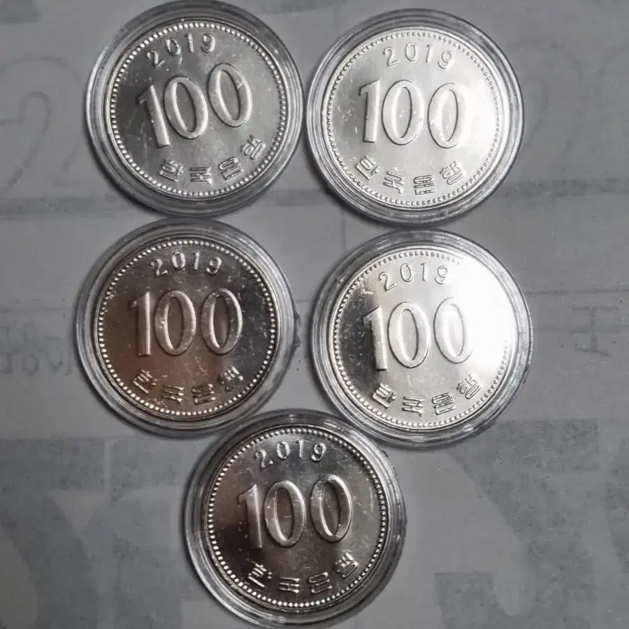 2019년100주화