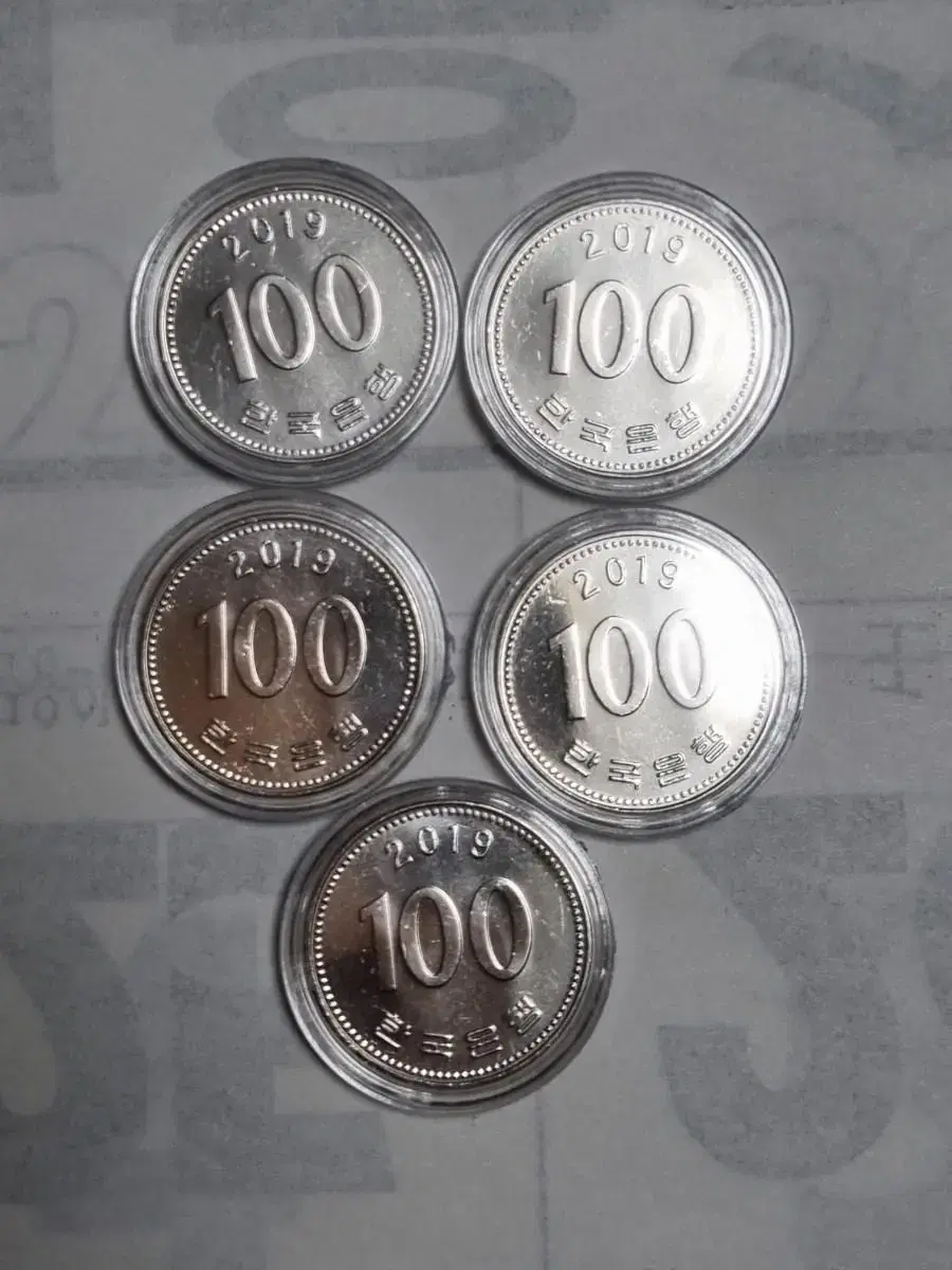 2019년100주화