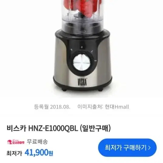 비스카 스텐 믹서기 HNZ-E1000QBL