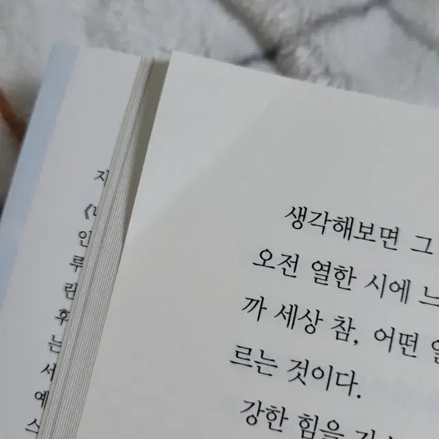 '너의 췌장을 먹고 싶어' 책