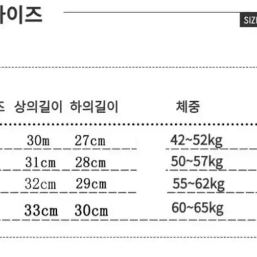 각종 이벤트용 코스튬 5종 셋트 (새옷)