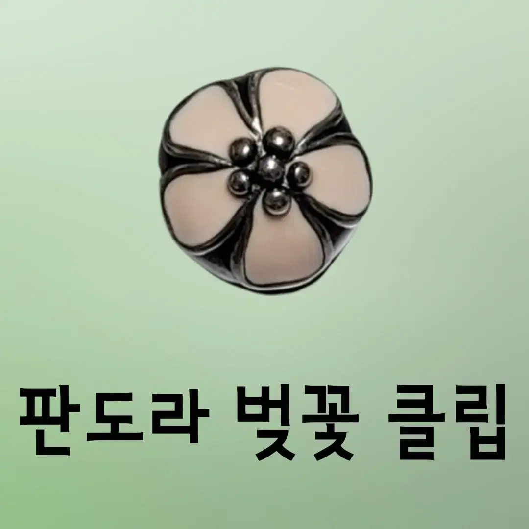 판도라 벚꽃클립