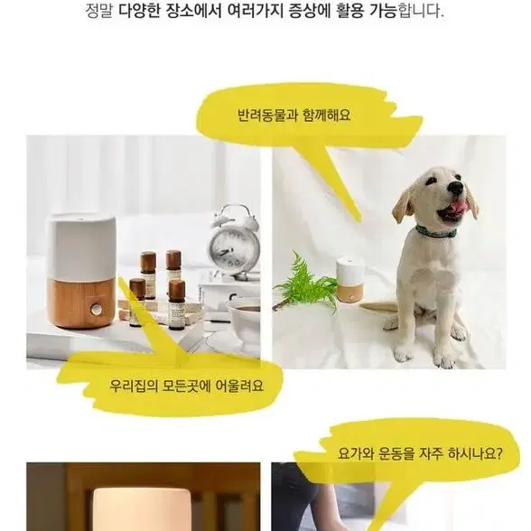 피네쌍스 아로마 네블라이저 디퓨저