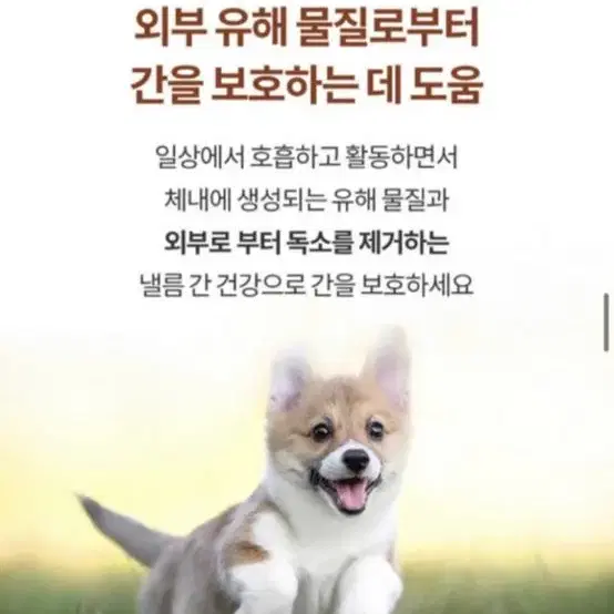 미펫 낼름 강아지 간 영양제*간식서비스