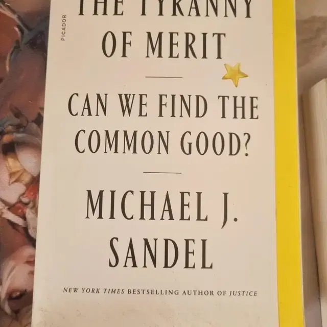 the tyranny of merit