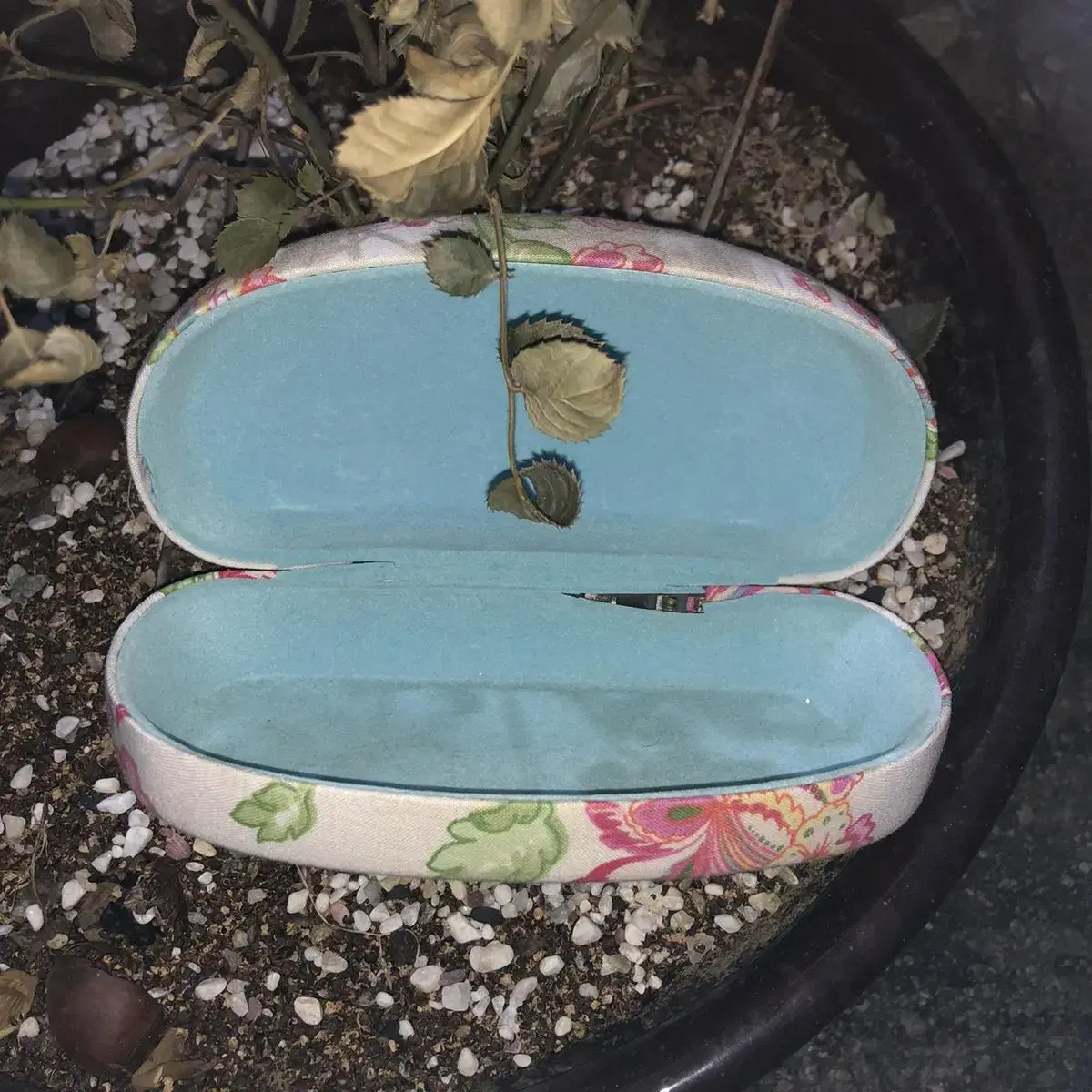 Vintage Flower sky sunglasses case